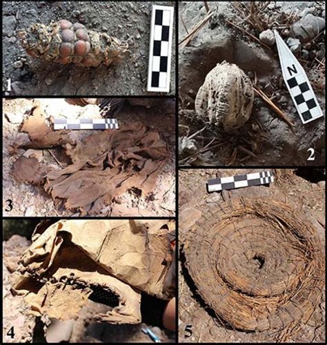 Extraño Descubrimiento Realizado En Cueva Mexicana Incluidos Restos Momificados De Guacamayos
