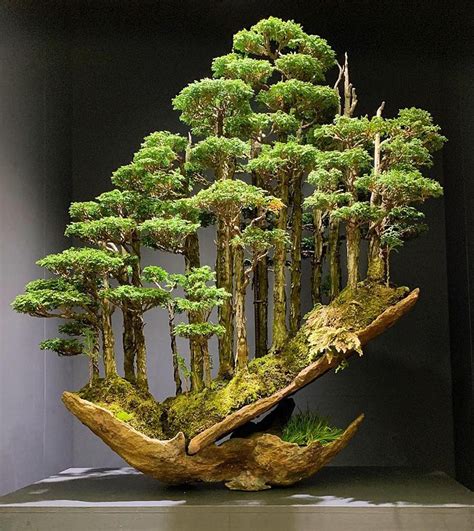 Pin On The Most Beautiful And Unique Bonsai Trees In The World