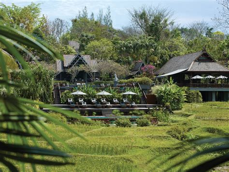 Four Seasons Resort Chiang Mai Resort Review Condé Nast Traveler