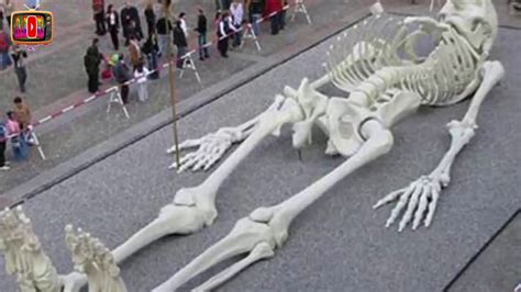 Giant Human Skeleton Of 80 Feet Height Found In India Ajob Tv Youtube