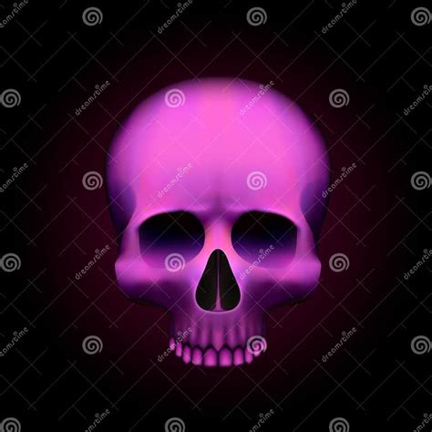 Human Skull Isolated On Black Color Pink Object Stock Vector