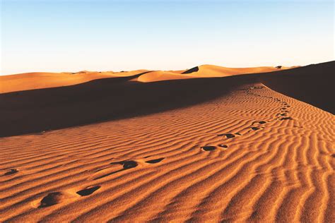 Desert Sand Dunes Royalty Free Stock Photo