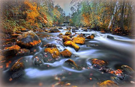 Leaves Along The River Rocks Autumn Stunning Splendid Bonito