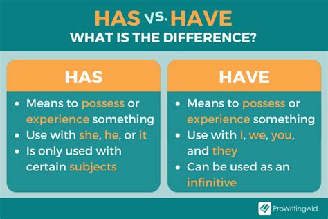 Have Vs Has Whats The Difference 2023