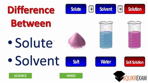 Difference Between Solute And Solvent Youtube