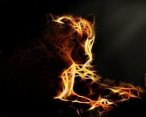 Cheetah Cool Wallpapers Top Free Cheetah Cool Backgrounds