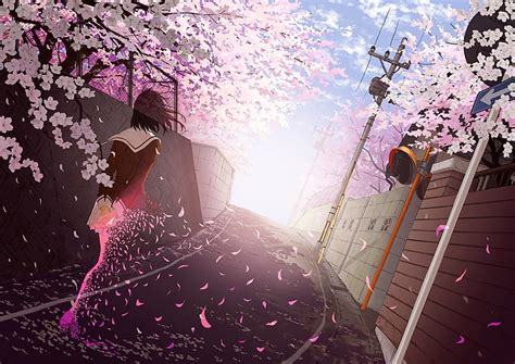Hd Wallpaper Anime Girls School Uniform Cherry Blossom One Person
