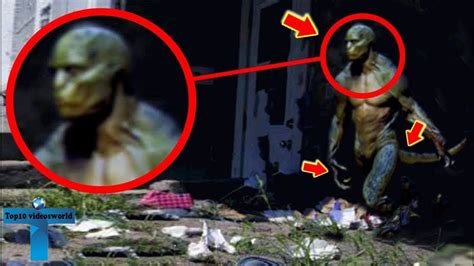Top 8 Unbelievable Reptilians Creatures Caught On Camera And Spotted In