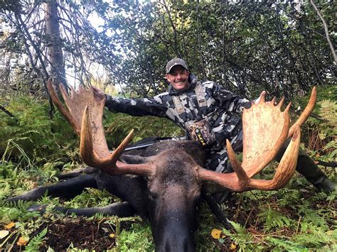 Alaska Moose Hunting Guides Hidden Alaska Guides And Outfitters