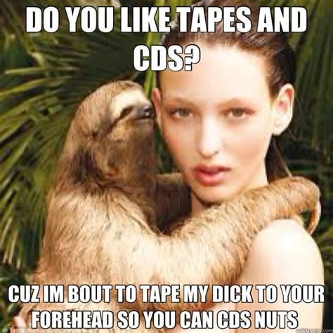 33 Funny Whisper Sloth Meme Will Make Smile On Your Face Picsmine