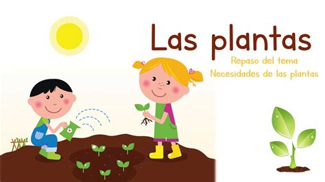 Partes De Las Plantas Y Necesidades Para Niños Youtube