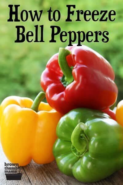 Growing hot peppers in garden beds and containers. Yes you can freeze bell peppers and save them for your ...