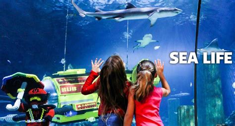 Legoland California Resort Sea Life Aquarium Reopens June 20 2020