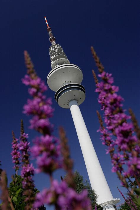Der Hamburger Fernsehturm Liegt Am Bild Kaufen 70055919 Lookphotos