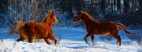 Horses At Play Photograph By Tracy Winter Pixels