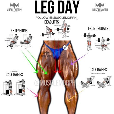 10 Best Musclebuilding Leg Exercises