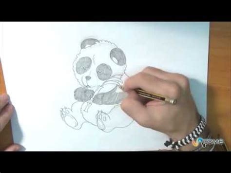 Proviamo insieme a disegnare un bonario. Come disegnare un panda - YouTube
