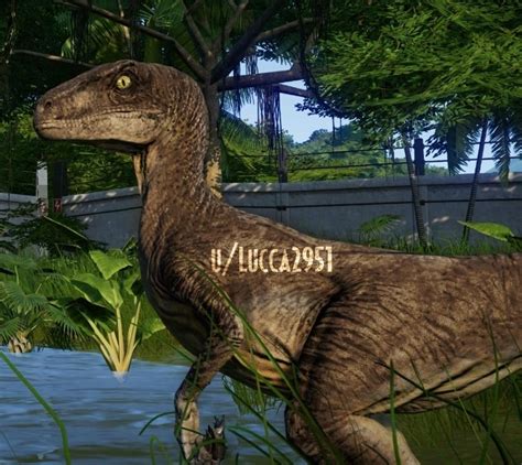 Jurassic Park Styled Velociraptor Skin The Big One Rjurassicworldevo