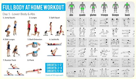 In week one, you'll work on nailing the form of. 28 Days Full Body Home Workout CHALLENGE! - ValentinBosioc.com