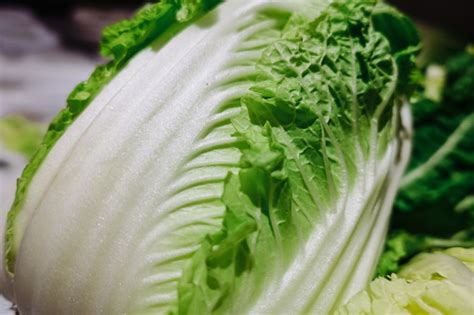 Closeup Of A Chinese Cabbage Also Called Wombok Stock Photo Download
