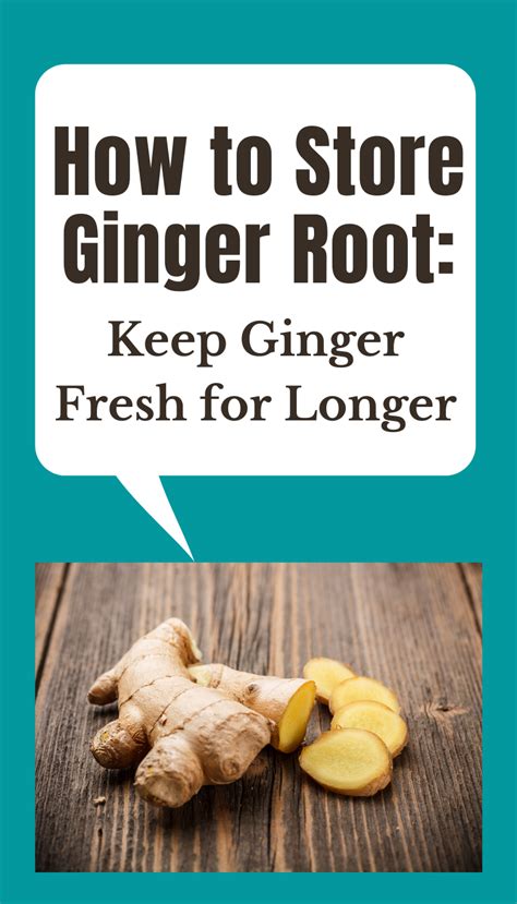 How To Store Ginger Root Keep Ginger Fresh For Longer How To Store