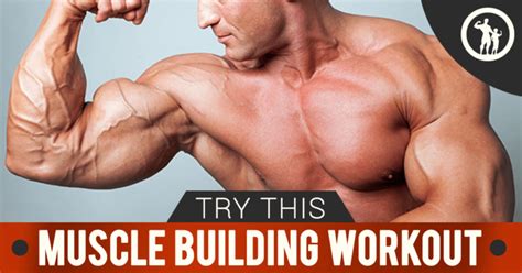 Developing A Muscle Building Workout Plan For Men That Yields Results