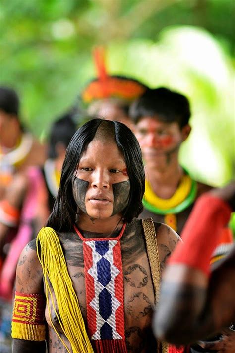 Bob Menezes Kayap Brasil Par Native People Native American