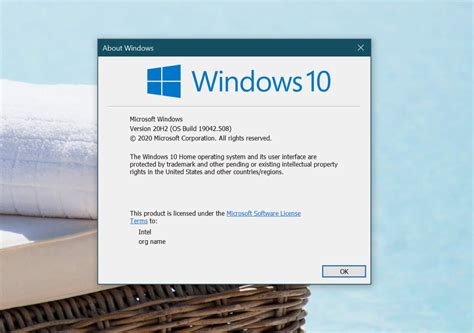 Microsoft Windows 10 20h2 Update Installation Process