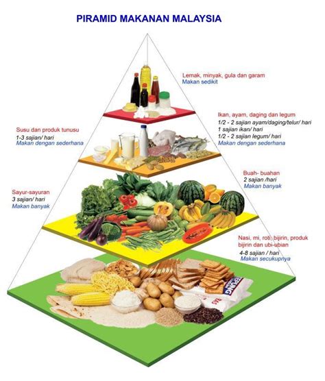 Pengertian, fungsi, jenis dan gambarnya. Garis Panduan Diet Malaysia - 14 Mesej Utama - PORTAL MyHEALTH