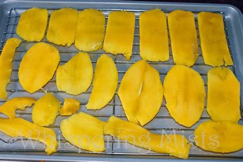 Dried Mango Recipe Ideas Recipe Reference