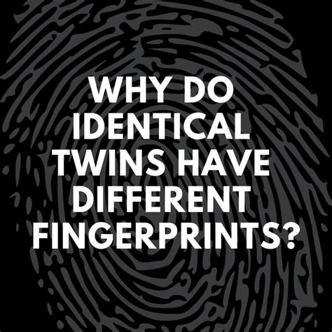 Why Do Identical Twins Have Different Fingerprints