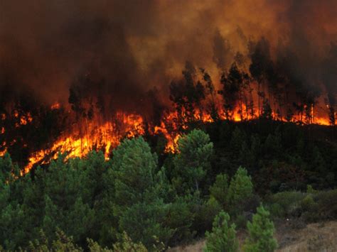 We did not find results for: Recibe Chihuahua recursos para combatir incendios forestales