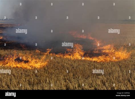 Fire In The Field Of Wheat Stubble Stock Photo Alamy