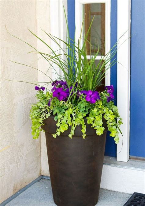 67 Best Front Door Flower Pots And Porch Planters 2022 Guide