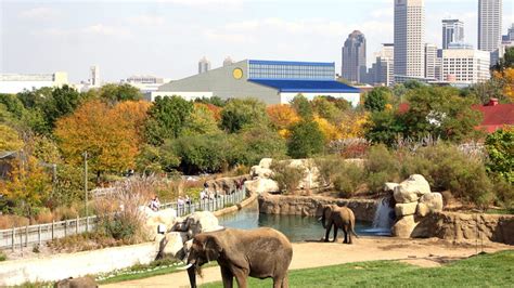 Zookeeper Injured While Working With Warthogs At Indy Zoo