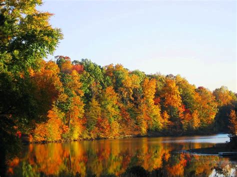 Wallpaper Trees Landscape Fall Leaves Lake Water