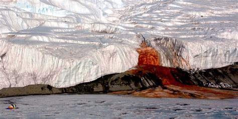 Scientists Uncover the Secrets of Antarctica's Blood Falls