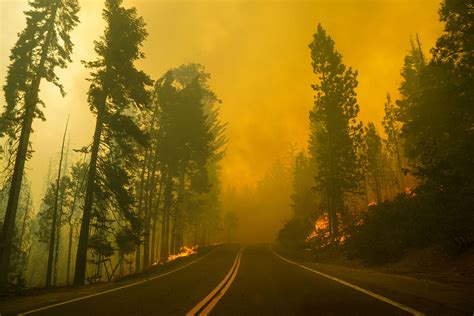 All California National Forests Ordered To Close Due To Monumental