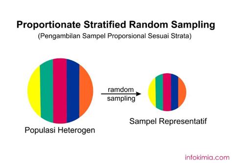 Stratified random sampling refers to a sampling method that has the following properties. Pengertian, Jenis dan Contoh Teknik Sampling - Info Kimia