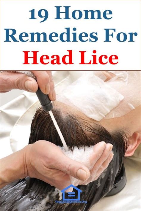 19 Effective Home Remedies For Head Lice Head Lice Remedy Lice