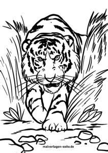 Ausmalbilder Tiger Malvorlagen für Kinder