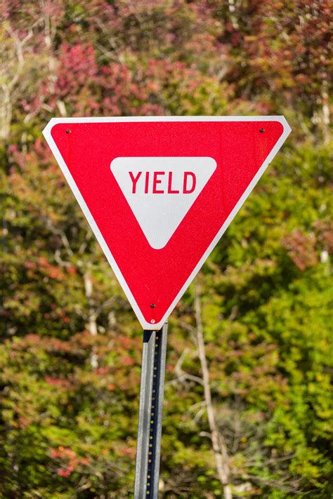 Yield Sign Free Stock Photo Public Domain Pictures