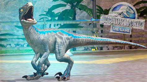 Beta Velociraptor Hija De Blue Especial AÑo Nuevo Combate Vs Dinosaurios Jurassic World El