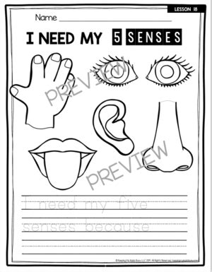 All About My Body And Senses Free Activity Science Unit Artofit