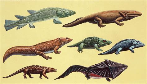 Prehistoric Reptiles Photograph By Deagostiniuig Pixels