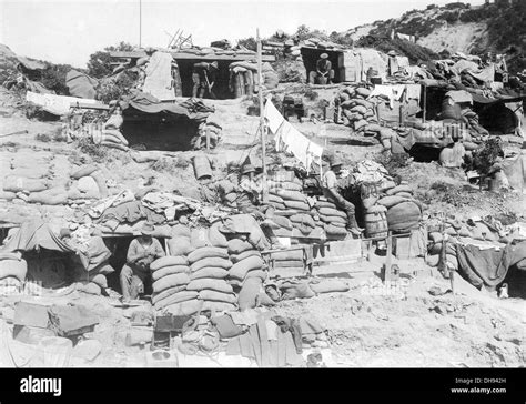 Australian Troops Dug Into The Hillside At Gaba Tepe On The Gallipoli
