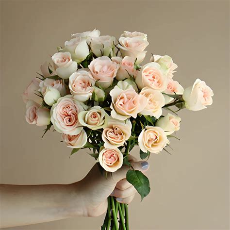 Buy Wholesale Creamy Pink Spray Roses In Bulk Fiftyflowers