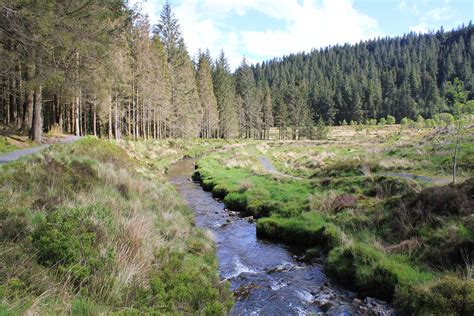 Waterfalls And Walking The Wye Valley Way Hafren Forest In Wales