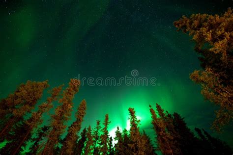 Aurora Borealis Or Northern Lights Observed In Yellowknife Canada On