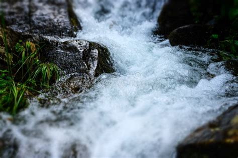 Close Up Streams Of Water Between Mountain Stones Beautiful Mountain